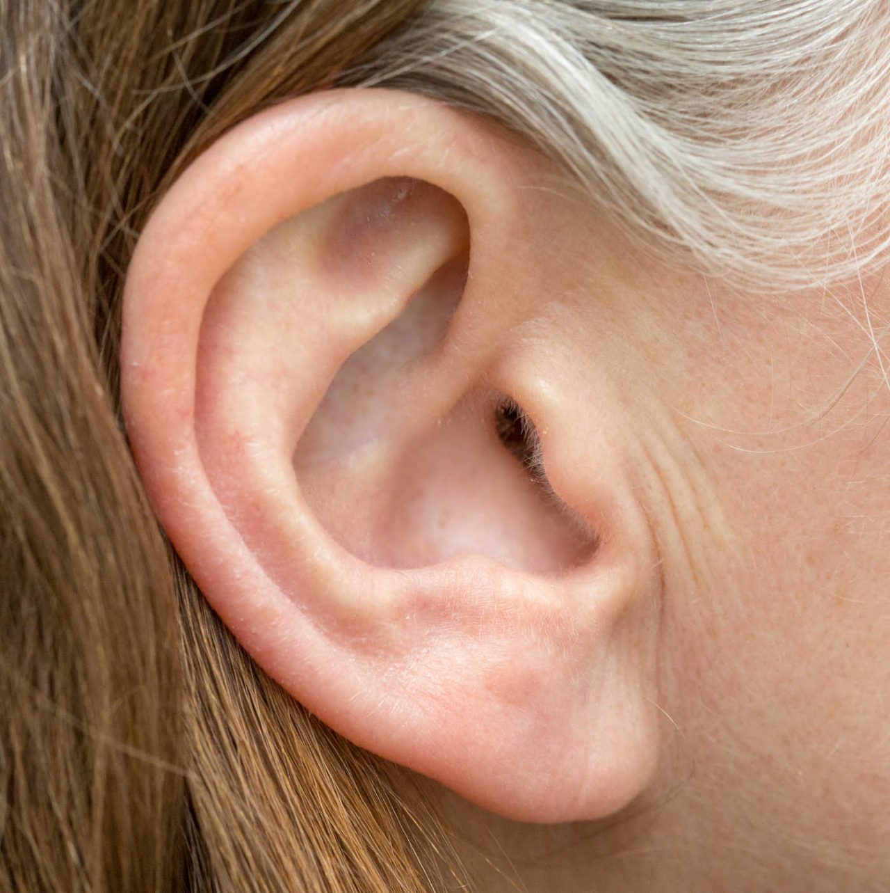 Bedeutung des Hörens Interaktion von Ohren und Gehirn